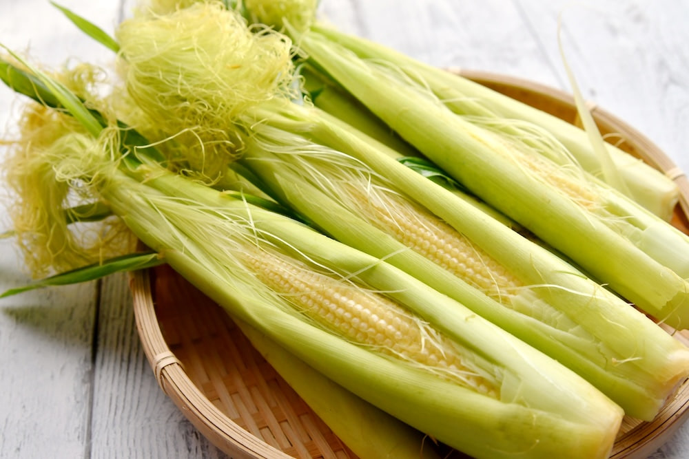 ข้าวโพดอ่อนคือข้าวโพดในวัยเด็กของมันหรือไม่? มันจัดอยู่ในหมวดธัญพืชหรือผัก? พร้อมเทคนิคการเก็บรักษาข้าวโพดอ่อน