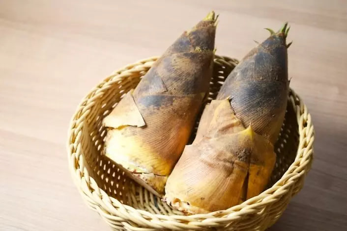 วิธีเก็บ “หน่อไม้” แบบแช่เย็นและแช่แข็งให้คงความสดได้นาน